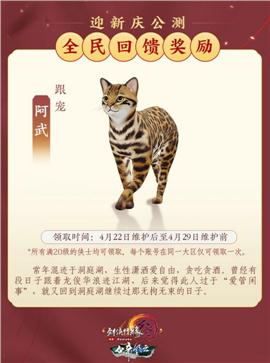 天龙八部私服离婚惩罚